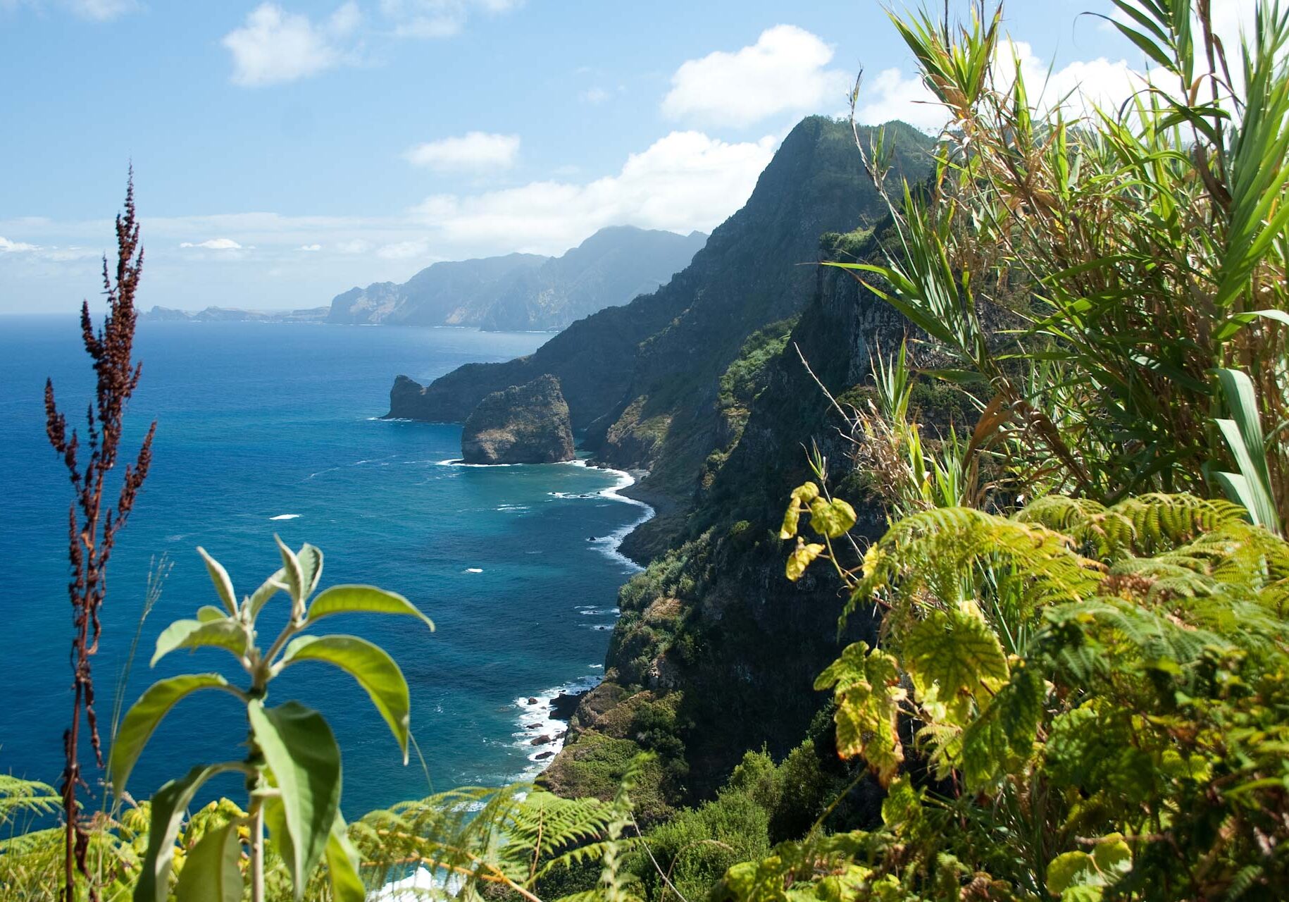 Madeira, north-east coast near Santana