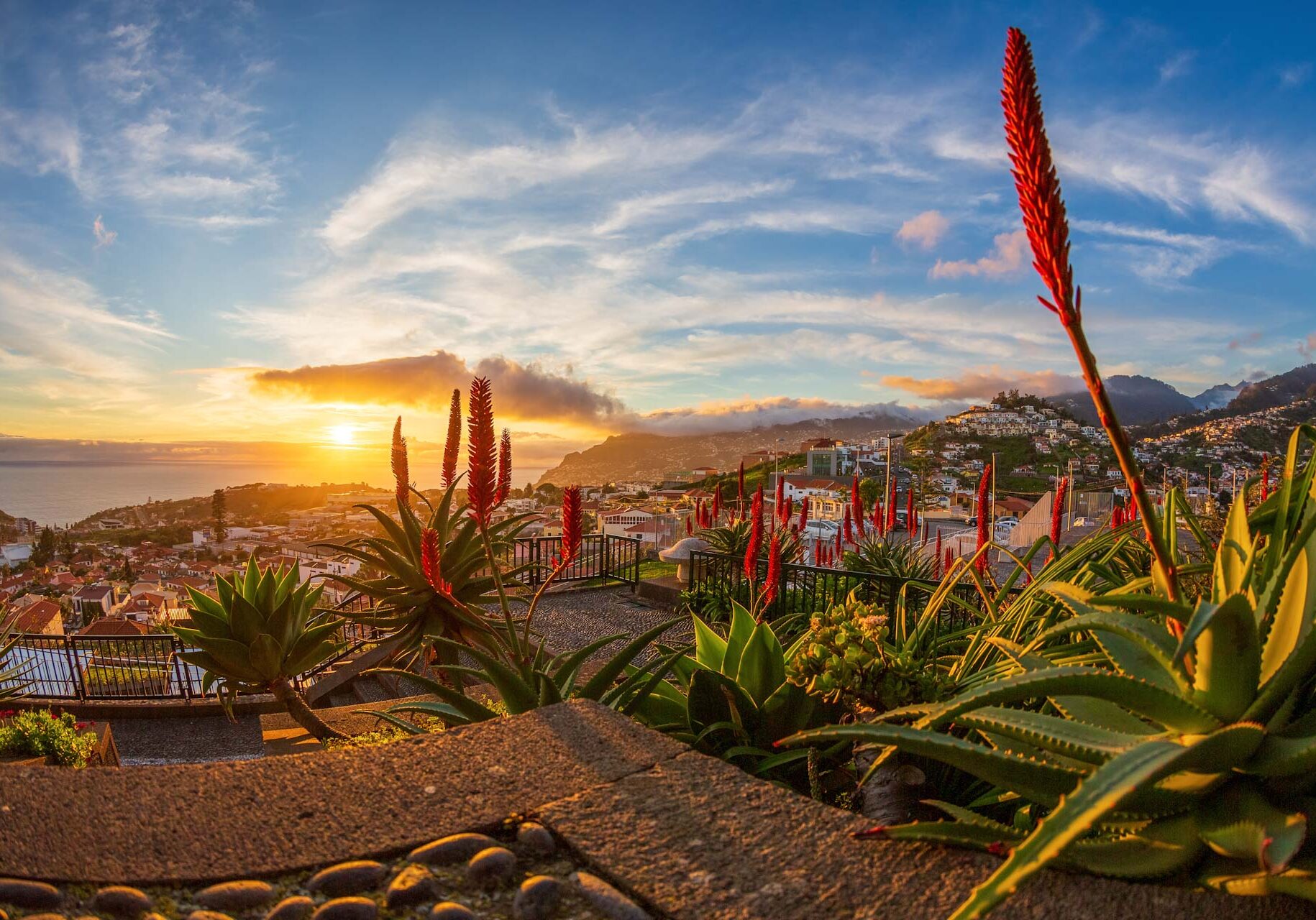 Funchal - Sonnenuntergang am Pico dos Barcelos 03